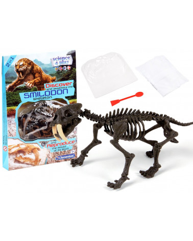 Clementoni Smilodon Zbuduj szkielet tygrysa ZA3713