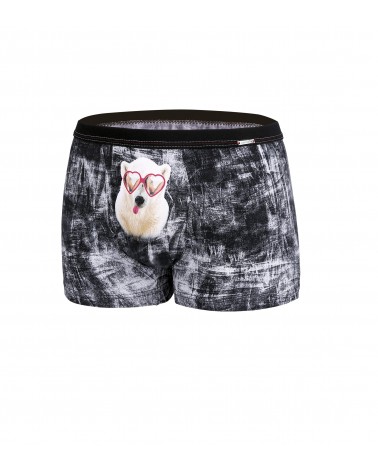 Bokserki Glasses 010/63