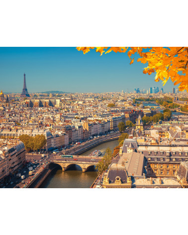 Puzzle 2000 ele Paris from Above